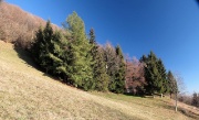 27 Al Monte, un boschetto nasconde una cascina...